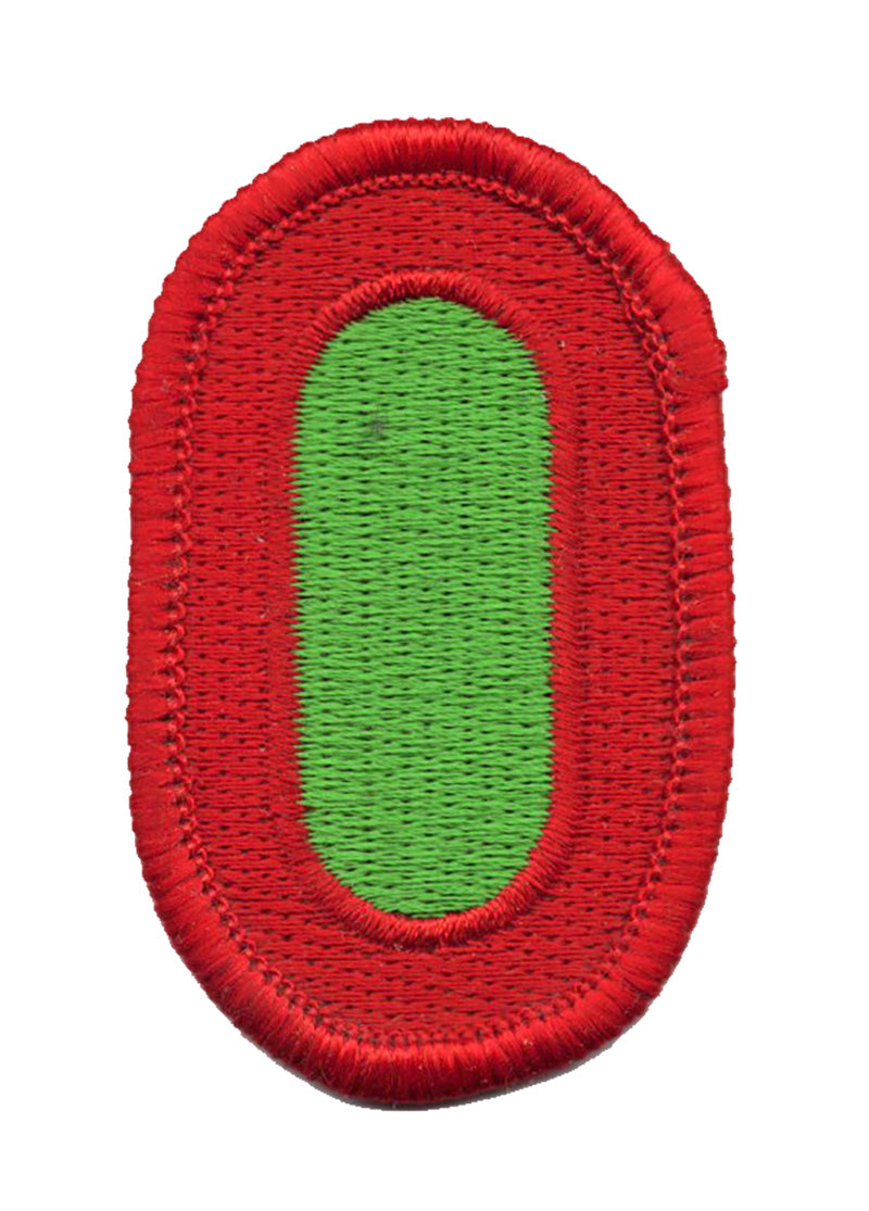 10th Special Forces Iron On Patch
