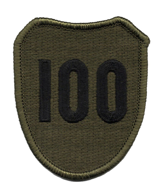 100th Training Division Iron On Patch